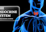 design a professional medical powerpoint presentation